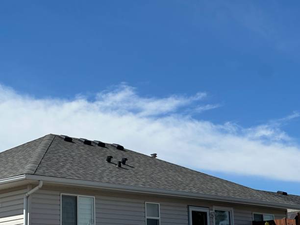 Best Asphalt Shingles Roofing  in Fairlea, WV
